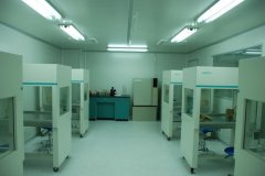 新疆CDC实验室装修设计效果